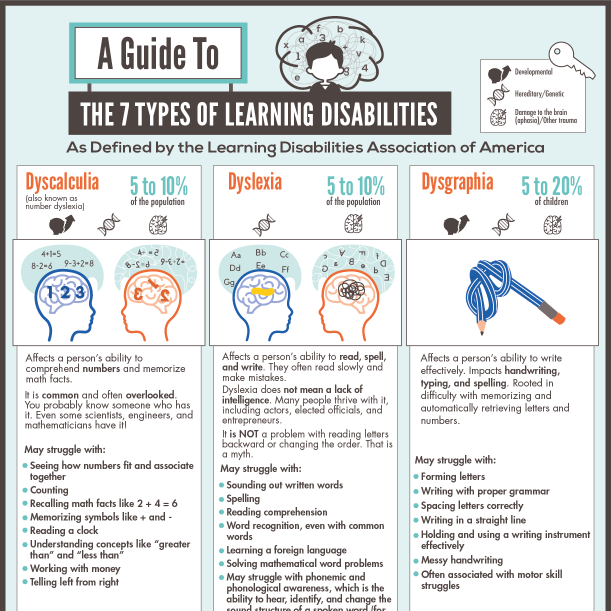 A Guide To The 7 Types Of Learning Disabilities